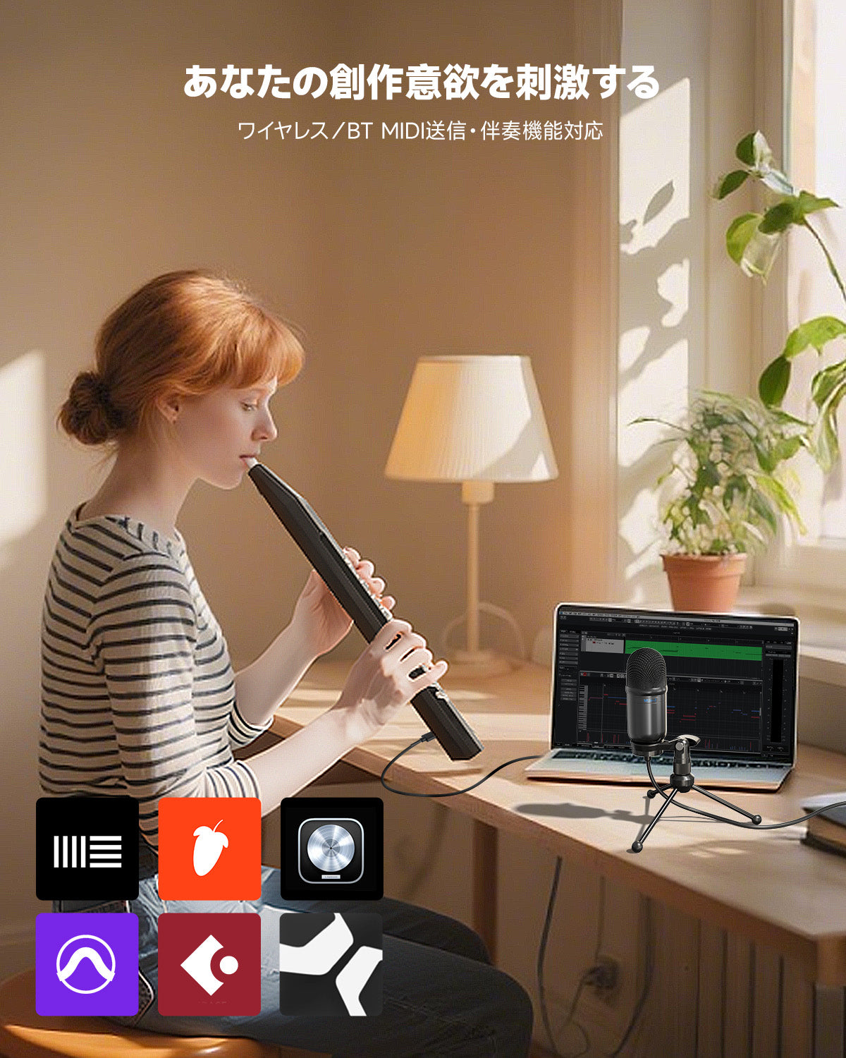 Eastar EDA-100 デジタルエアロフォン