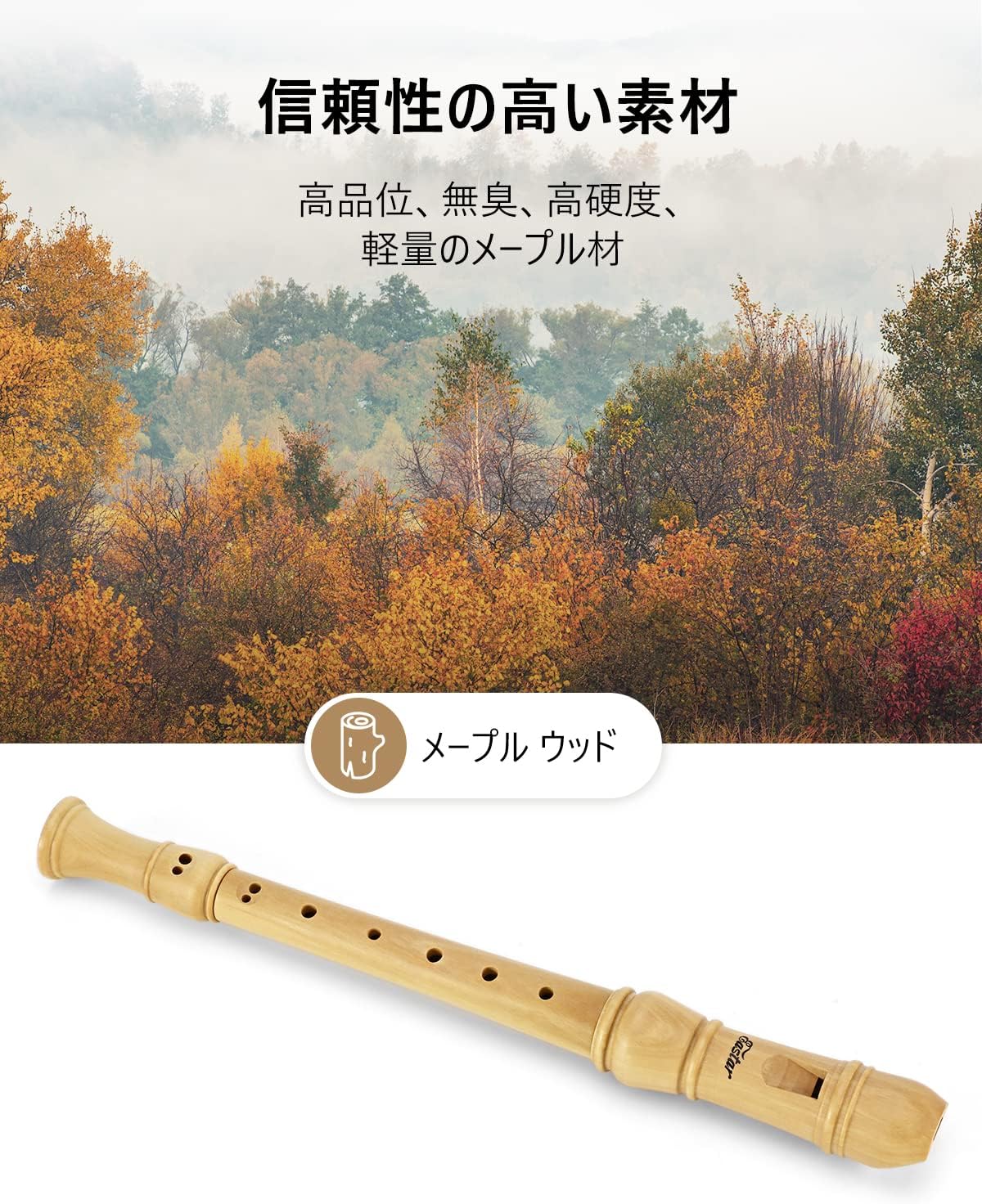 Eastar ソプラノリコーダー メイプル製 C調 小学校 ケース&お手入れセット付 初心者にも (ジャーマン式) ERS-31M