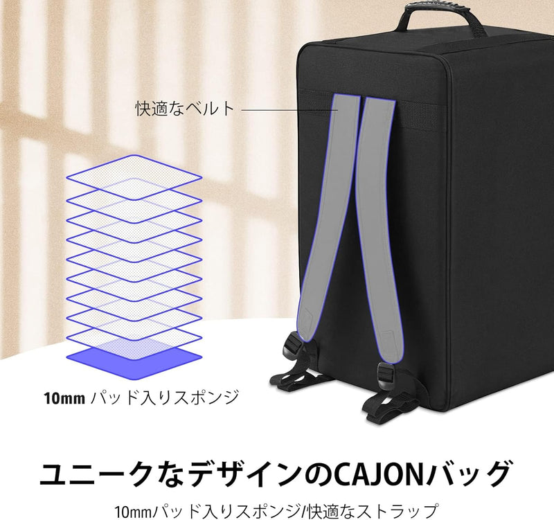 Donner DCD-1 カホン 木製 打楽器 上質バーチ ギター弦内蔵 バッグ付き